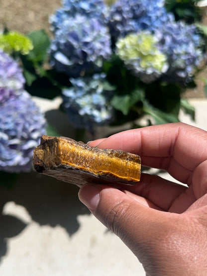 Raw Tigers Eye Crystal